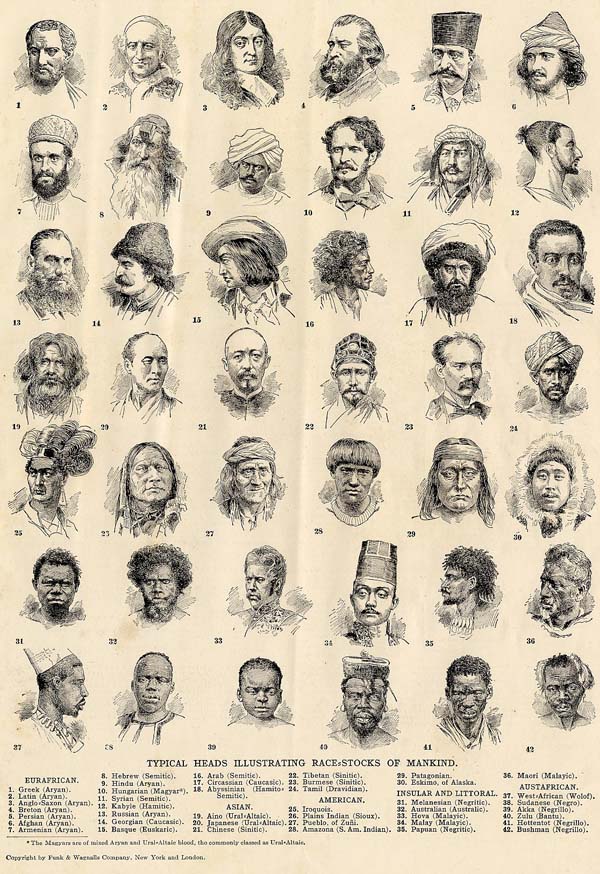 afbeelding van prent Typical Heads Illustrating Race-stocks of Mankind van Funk&Wagnalls Company