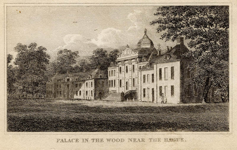 afbeelding van prent Palace in the wood near The Hague van nn (Den Haag, ´s-Gravenhage, The Hague)