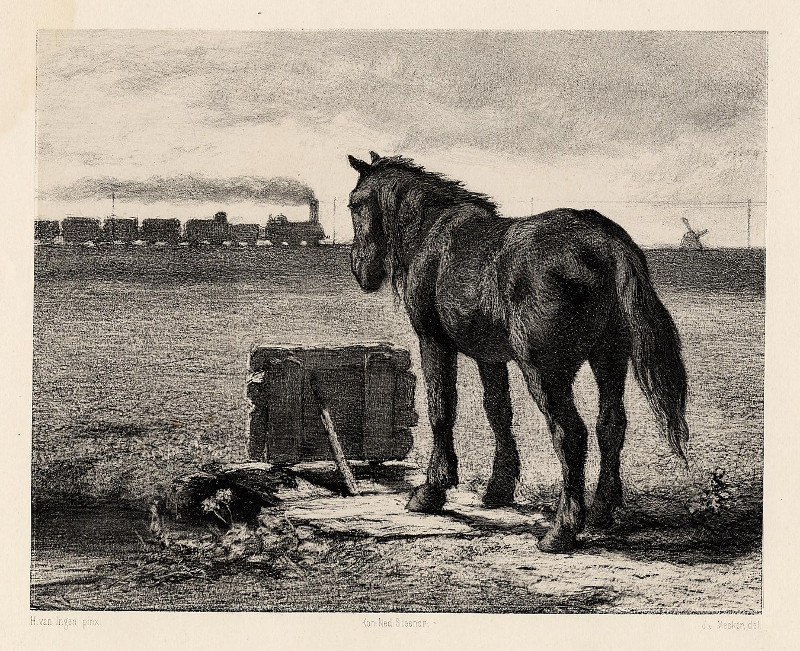 afbeelding van prent Paard in weiland van J.J. Mesker naar H. van Ingen (Trein, Paard, )