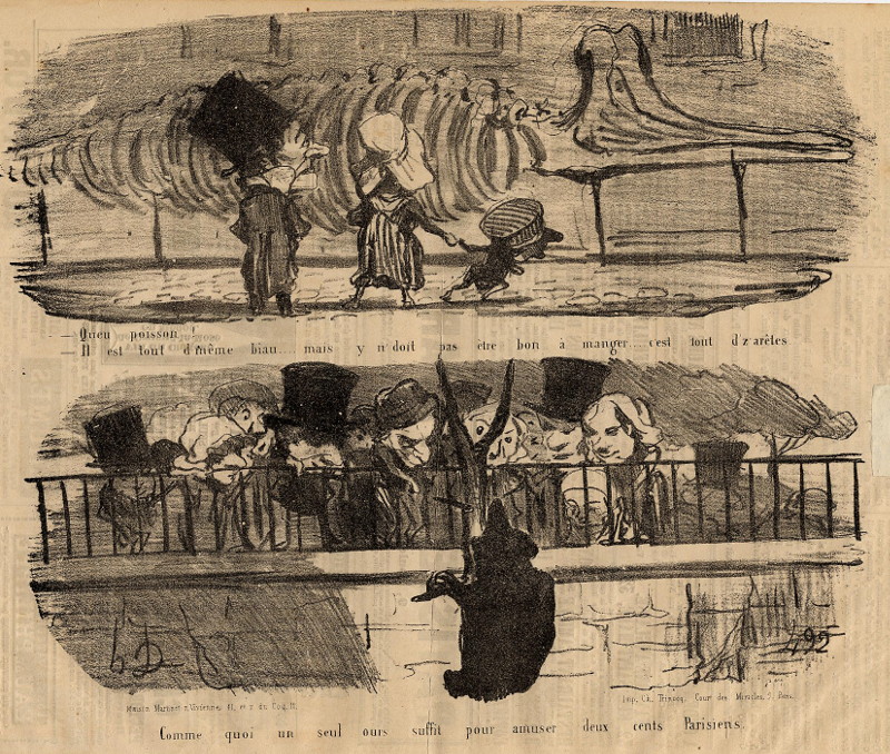 afbeelding van prent Queu poisson! ... van Honoré Daumier