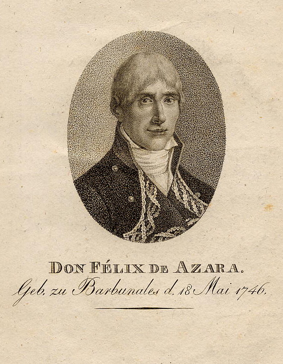 afbeelding van prent Don Félix de Azara, geb. zu Barbunales d. 18 Mai 1746 van nn (Adel,)