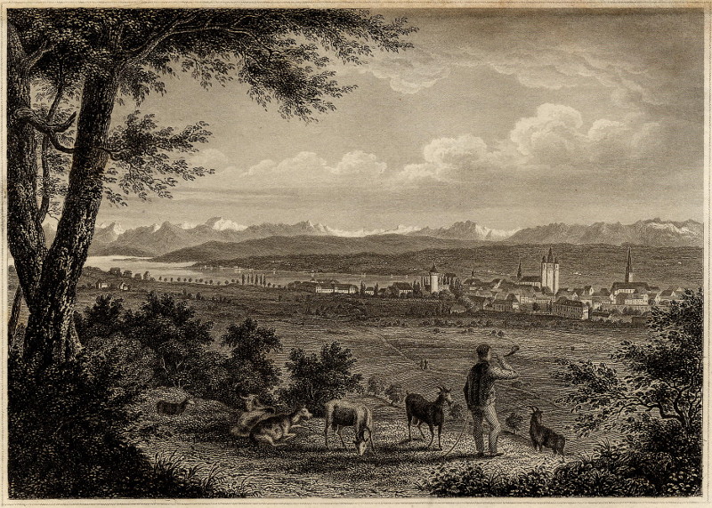 afbeelding van prent Constanz und das Panorama der Alpen van nn (Constanz)