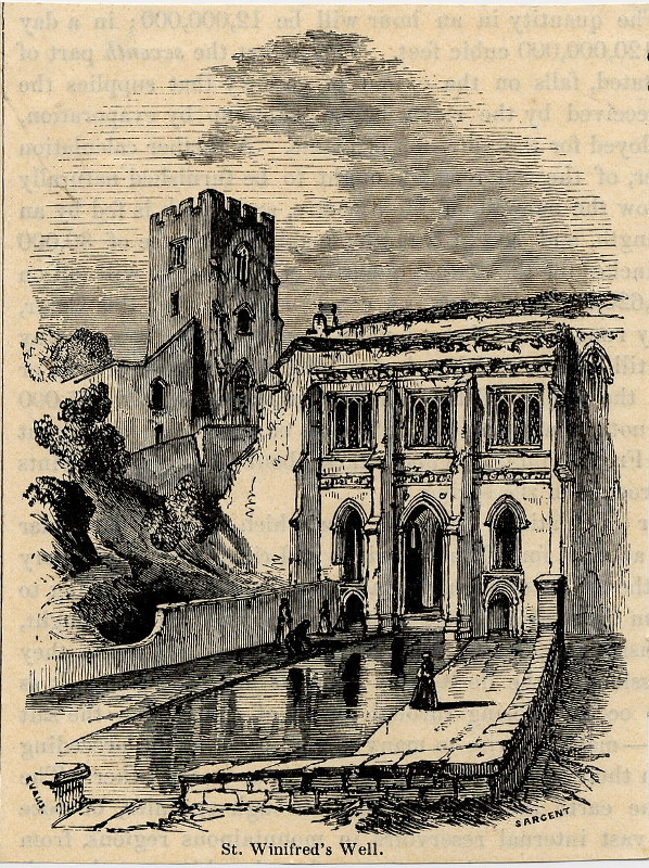 afbeelding van prent St. Winifred´s Well van Sargent, Evans (Holywell)