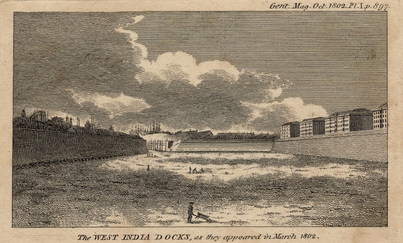 afbeelding van prent The West India Docks, as they appeared in March 1802 van nn (Londen, London)