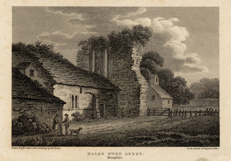 afbeelding van prent Hales Owen Abbey, Shropshire van W. Angus, M.D. Parkes (Halesowen)