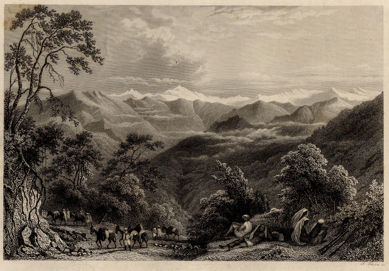 afbeelding van prent Der Himalaya van A. Fezca (Himalaya)