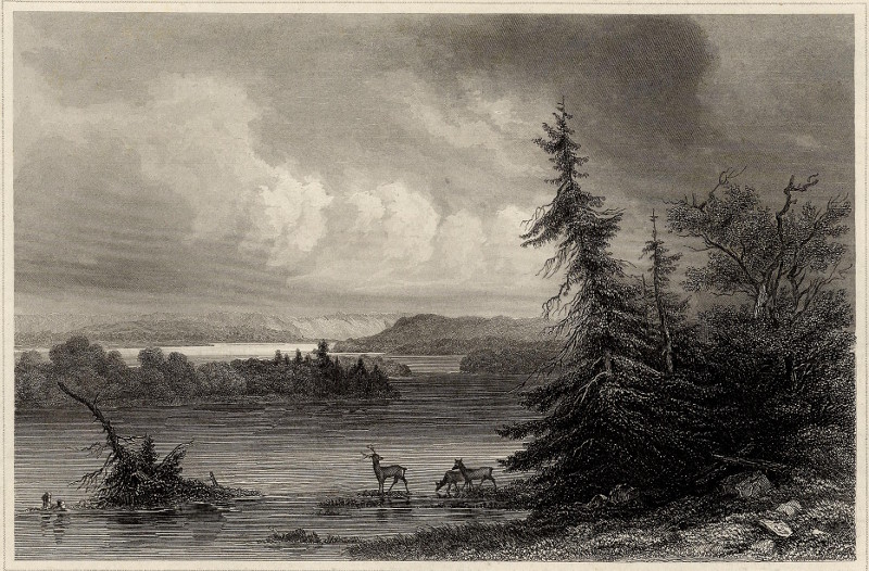 afbeelding van prent Itasca Lake (Quelle des Mississippi) van H.J. Meyer (Mississippi)