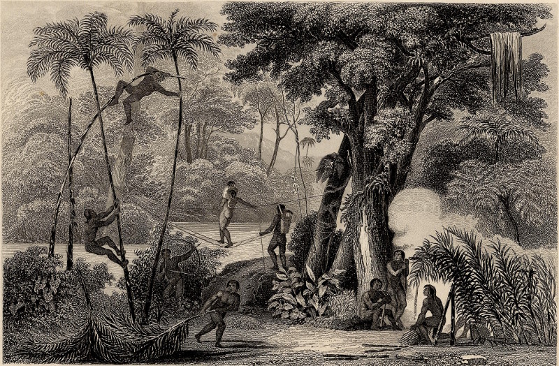 afbeelding van prent Urwald in Brasilien (Lager einer Indianerfamilie) van A.H. Payne
